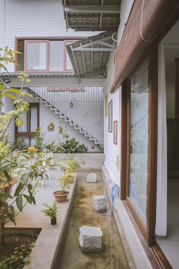 The Little Homie Homestay Vũng Tàu